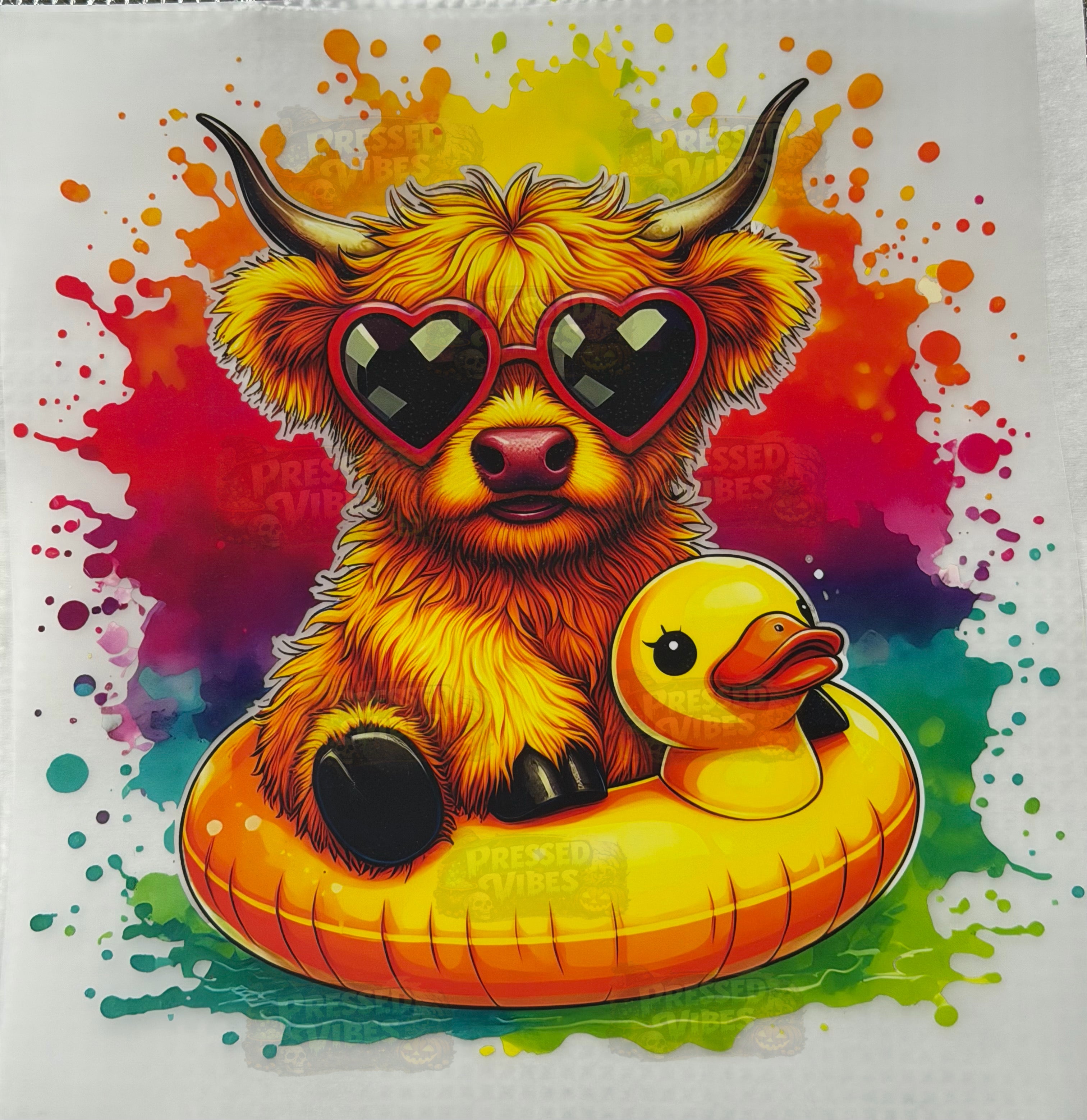 Summer Vibes ☀️🕶️